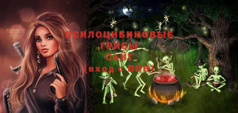 купить   Кирово-Чепецк  Псилоцибиновые грибы Psilocybine cubensis 